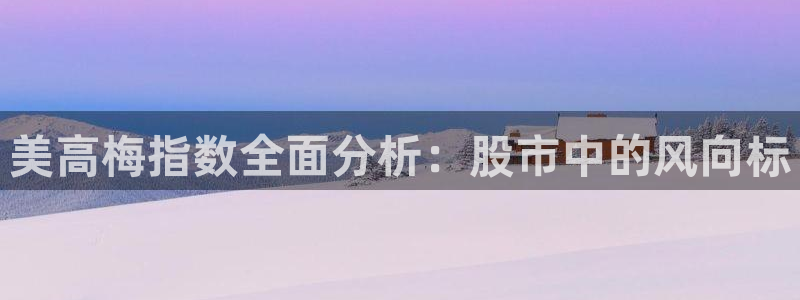 新宝53登录：美高梅指数全面分析：股市中的风向标