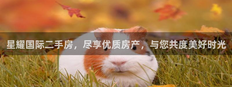新宝5体育eon：星耀国际二手房，尽享优质房产，与您共度美好时光