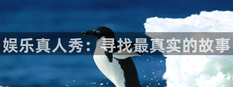 新宝5体育平台登录入口：娱乐真人秀：寻找最真实的故事