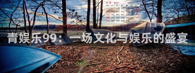 新宝5平台：青娱乐99：一场文化与娱乐的盛宴