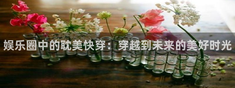 新宝5体育平台注册：娱乐圈中的耽美快穿：穿越到未来的美好时光