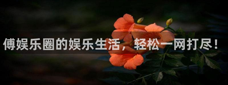 新宝5体育凯捷平台注册：傅娱乐圈的娱乐生活，轻松一网打尽！