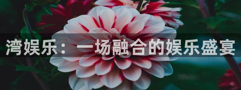 新宝53代理：湾娱乐：一场融合的娱乐盛宴