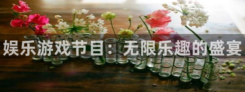 新宝53官网登录：娱乐游戏节目：无限乐趣的盛宴