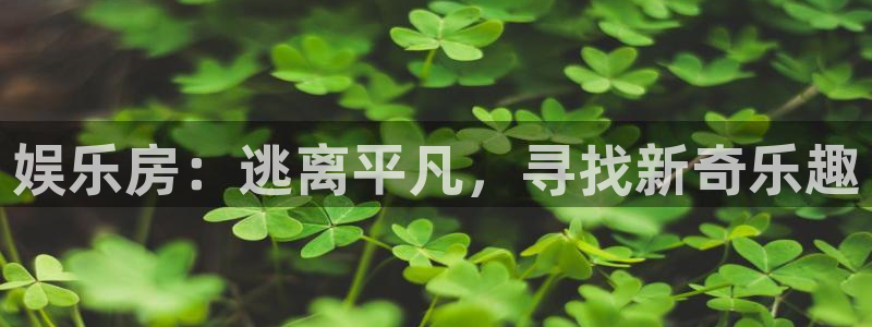 新宝5主管：娱乐房：逃离平凡，寻找新奇乐趣