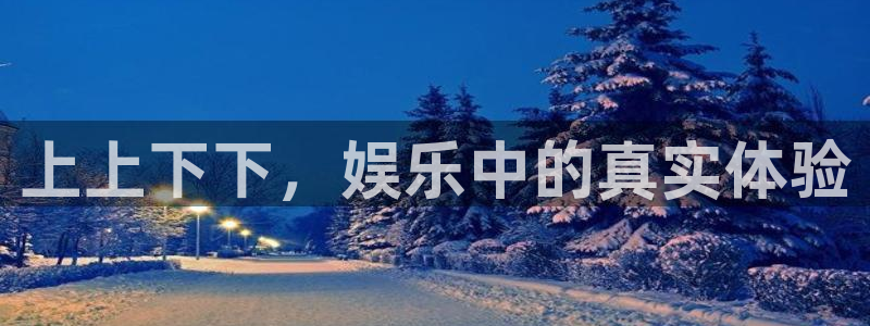 新宝53注册：上上下下，娱乐中的真实体验
