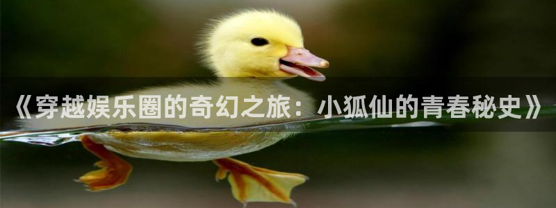 佛山市南海新宝5机电仪器有限公司：《穿越娱乐圈的奇幻之旅：小狐仙的青春秘史》