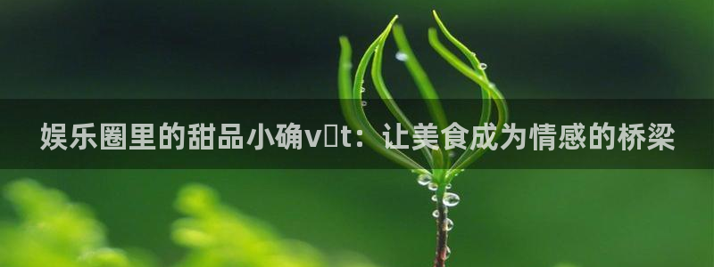 新宝5f平台注册：娱乐圈里的甜品小确vật：让美食成为情感的桥梁