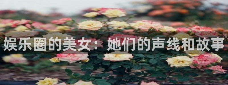 新宝5体育eon：娱乐圈的美女：她们的声线和故事