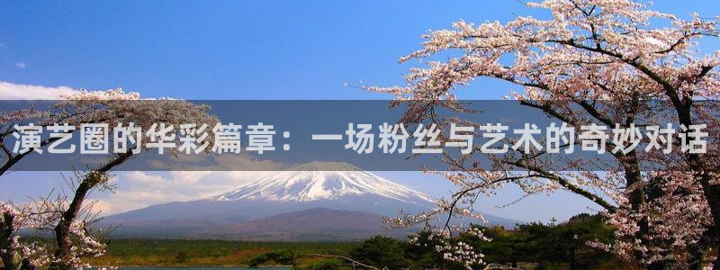 新宝5平台：演艺圈的华彩篇章：一场粉丝与艺术的奇妙对话
