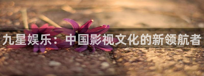 佛山市南海新宝5机电仪器有限公司：九星娱乐：中国影视文化的新领航者