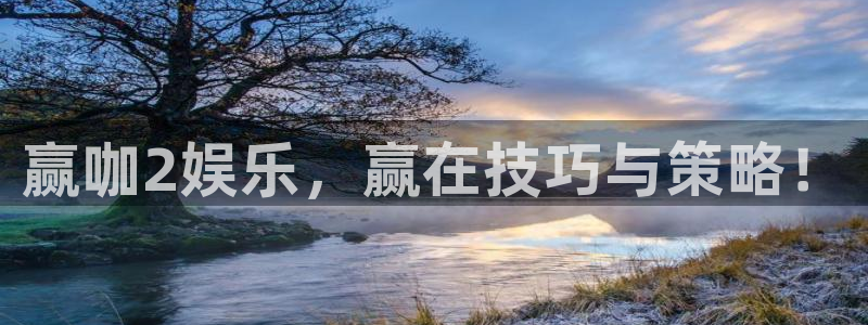 新宝5主管：赢咖2娱乐，赢在技巧与策略！
