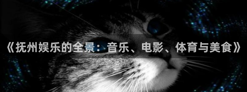 新宝54：《抚州娱乐的全景：音乐、电影、体育与美食》
