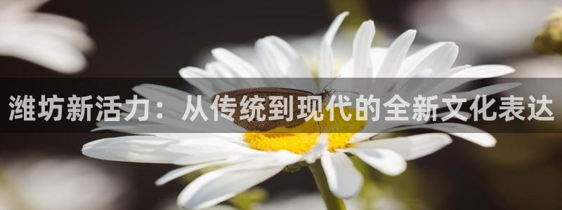 新宝5官网注册：潍坊新活力：从传统到现代的全新文化表达