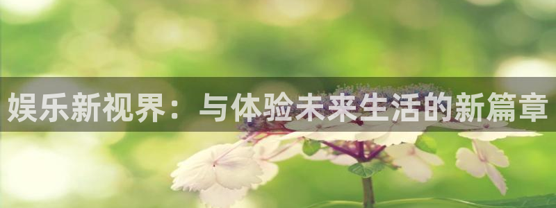新宝5体育和杏耀是哪个公司的：娱乐新视界：与体验未来生活的新篇章