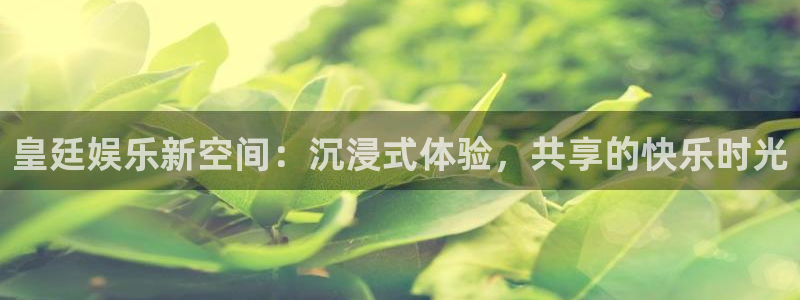 新宝5体育平台登录入口：皇廷娱乐新空间：沉浸式体验，共享的快乐时光