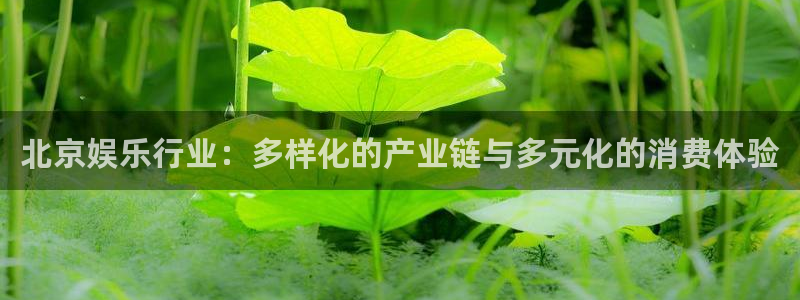 新宝5平台开户链接：北京娱乐行业：多样化的产业链与多元化的消费体验