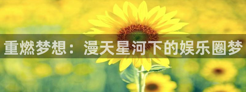 新宝5体育官网注册：重燃梦想：漫天星河下的娱乐圈梦