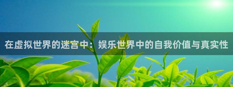 新宝53官网登录：在虚拟世界的迷宫中：娱乐世界中的自我价值与真实性
