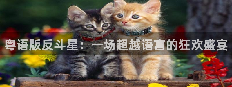 新宝5现在优惠多少：粤语版反斗星：一场超越语言的狂欢盛宴