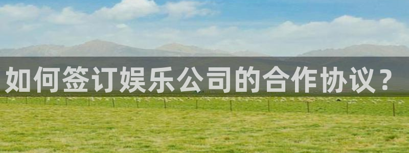 新宝5体育：如何签订娱乐公司的合作协议？