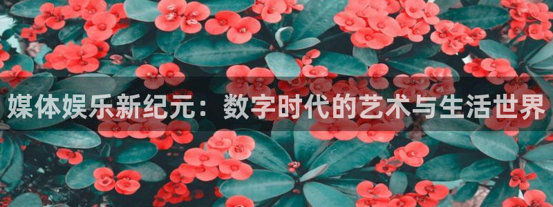 新宝5平台招商：媒体娱乐新纪元：数字时代的艺术与生活世界