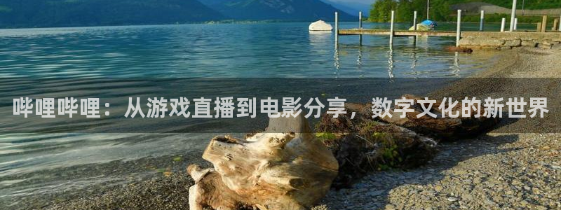 新宝5：哔哩哔哩：从游戏直播到电影分享，数字文化的新世界