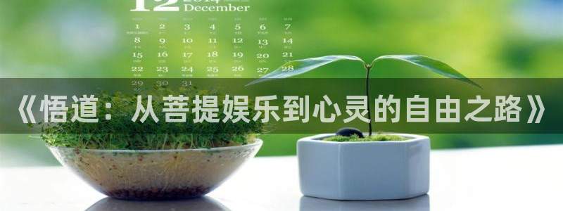 新宝5体育注册：《悟道：从菩提娱乐到心灵的自由之路》