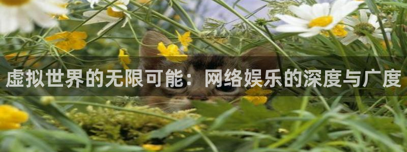 新宝5体育f开户：虚拟世界的无限可能：网络娱乐的深度与广度