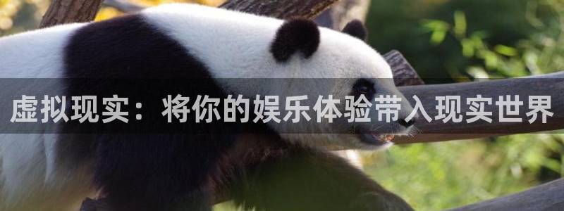 新宝52登录：虚拟现实：将你的娱乐体验带入现实世界