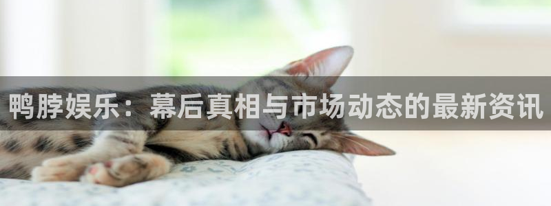 新宝5体育注册登录入口：鸭脖娱乐：幕后真相与市场动态的最新资讯