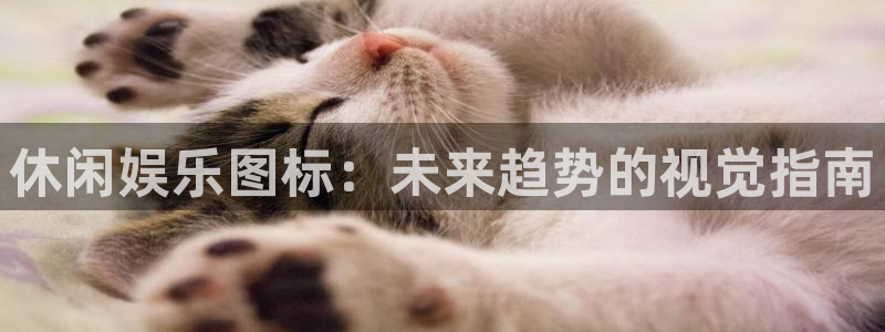 新宝5体育f开户：休闲娱乐图标：未来趋势的视觉指南