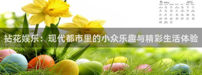 新宝55注册：拈花娱乐：现代都市里的小众乐趣与精彩生活体验