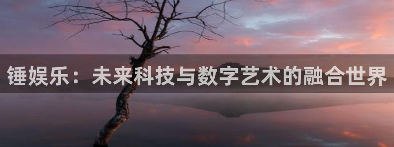 新宝5平台总代理：锤娱乐：未来科技与数字艺术的融合世界